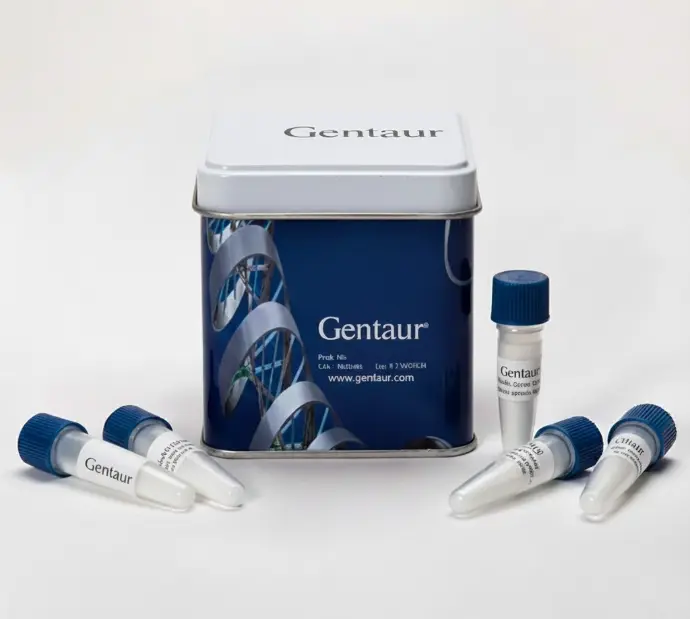 HighRanger 1kb DNA Ladder, 100 Loads