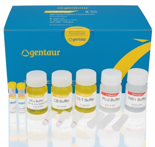 [sk-5634] Bacterial-DIRECT PCR Kit
